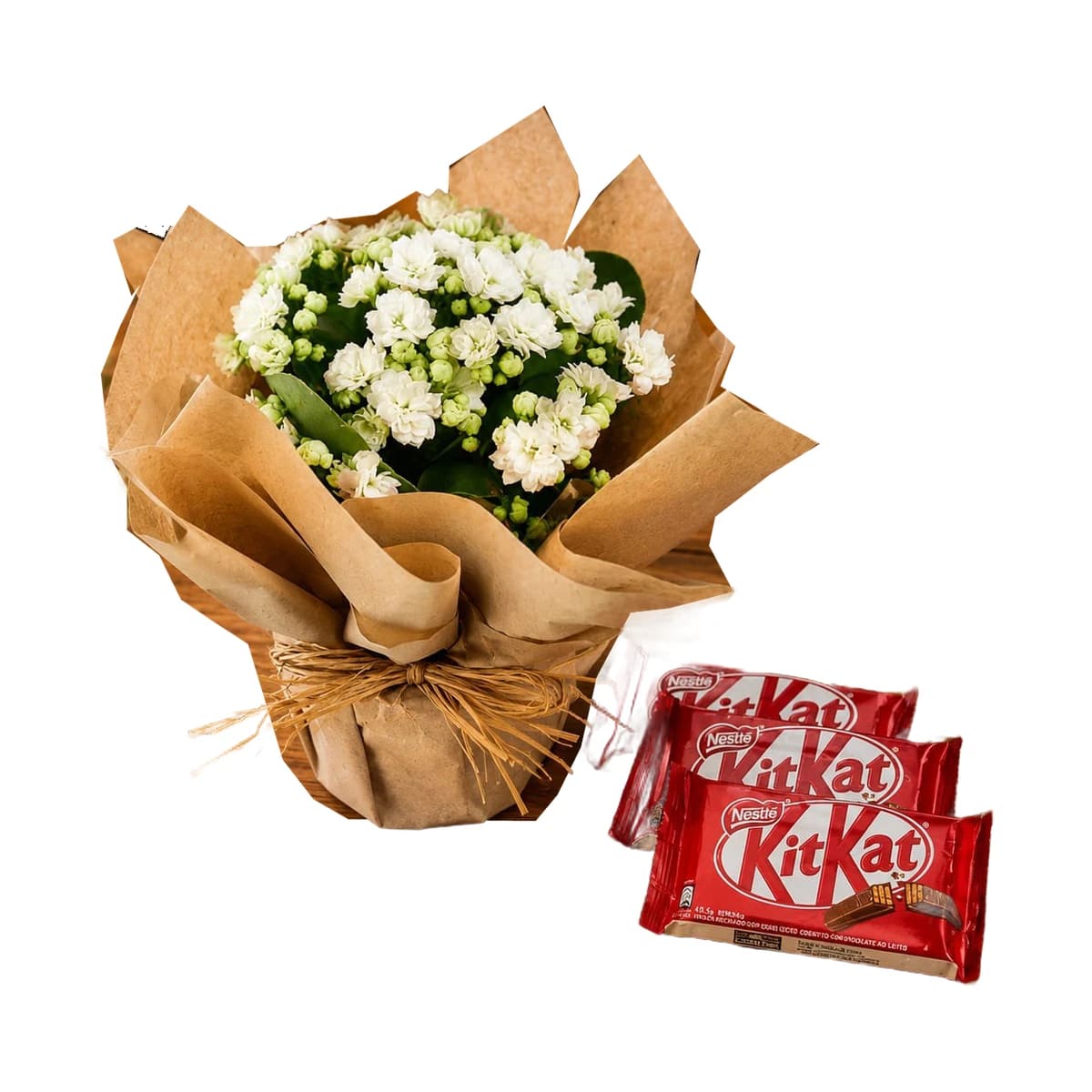 Kit, Flores e Kit Ket