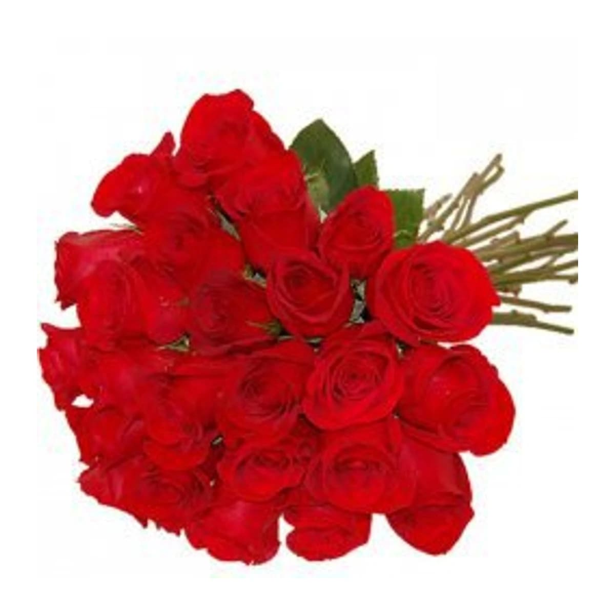 24 Rosas Nacional Te Amo